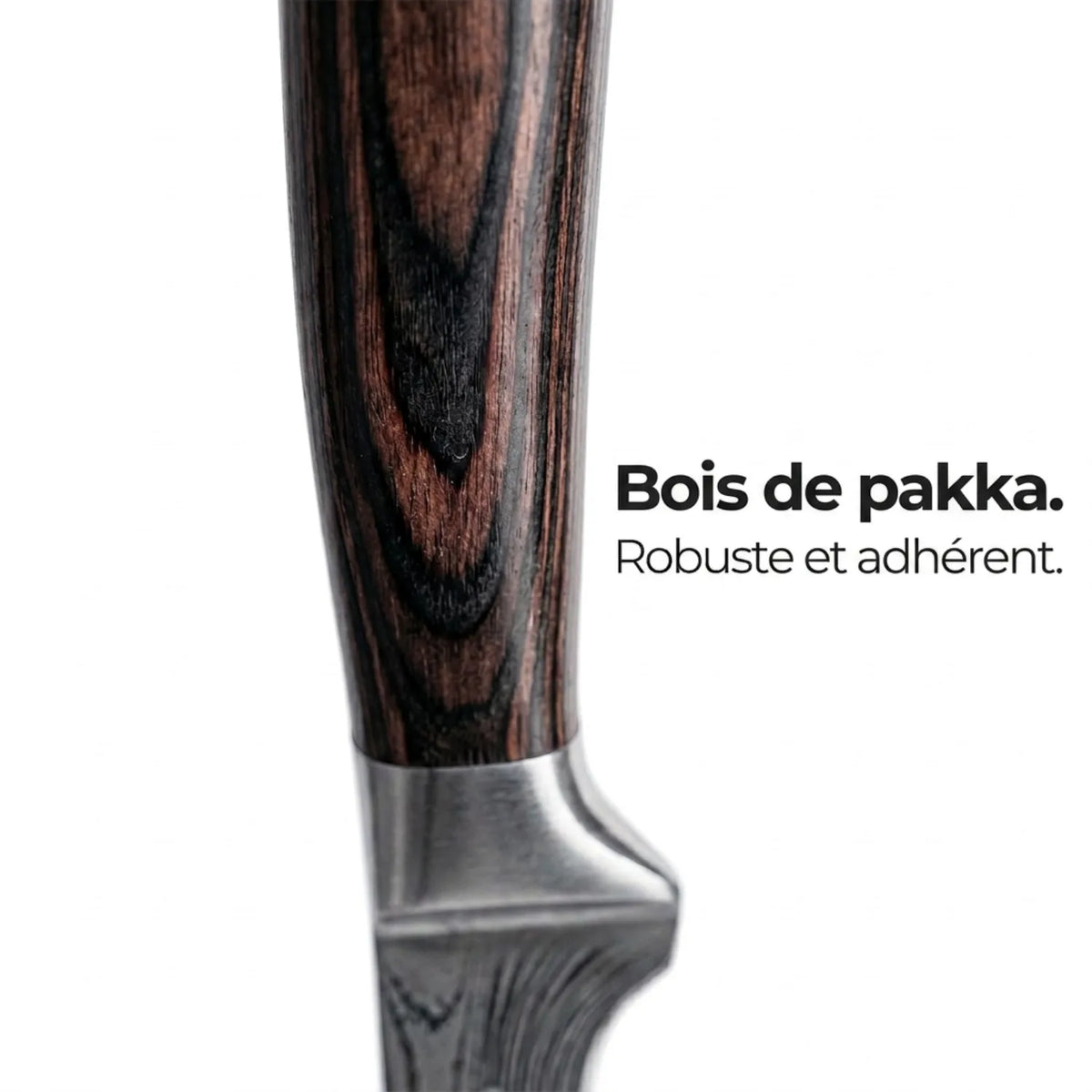 Couteau à Filet Asiatique